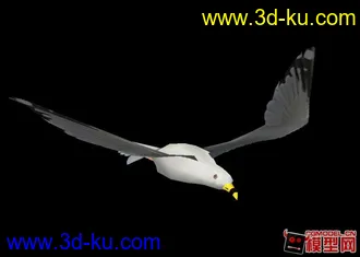3D打印模型自己制作海鸥 骨骼绑定带动画的图片