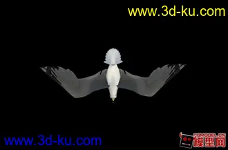 3D打印模型自己制作海鸥 骨骼绑定带动画的图片