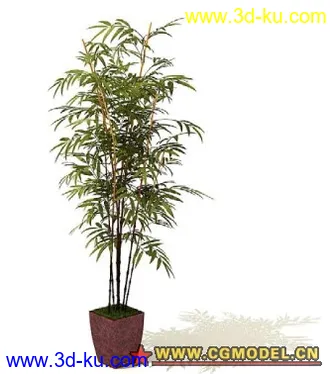 一些国外精品盆栽模型的图片
