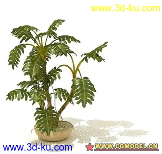 3D打印模型一些国外精品盆栽2的图片