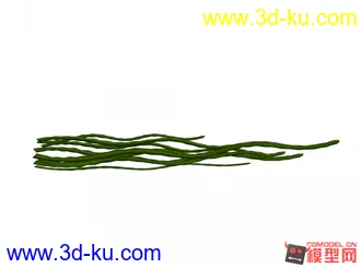 海带模型+材质动画！~~发上来赚积分，喜欢的带走！！！~的图片