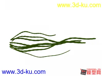 海带模型+材质动画！~~发上来赚积分，喜欢的带走！！！~的图片
