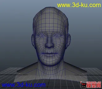 男性头部模型的图片