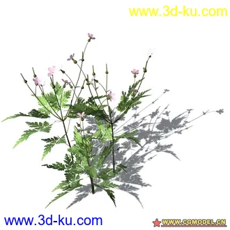 花草模型的图片