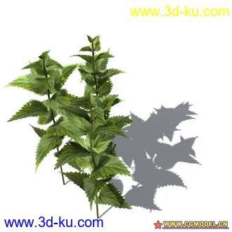 花草模型的图片