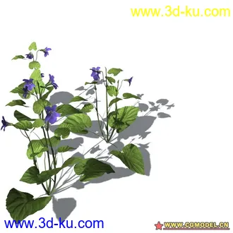 花草模型的图片