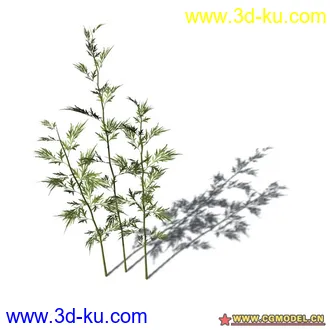 花草模型的图片