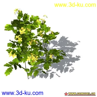 花草模型的图片
