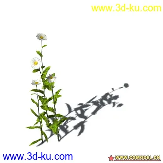 花草模型的图片