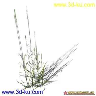 花草模型的图片