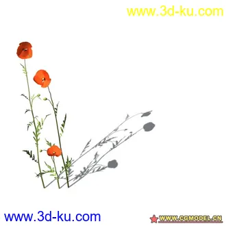 花草模型的图片