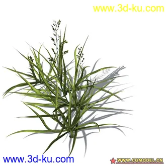 花草模型的图片