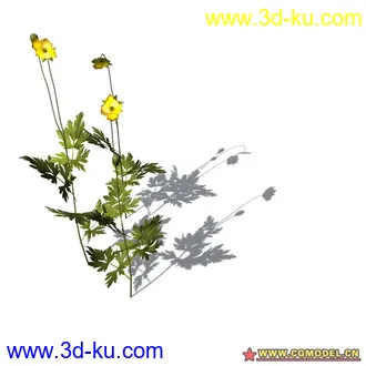 花草模型的图片