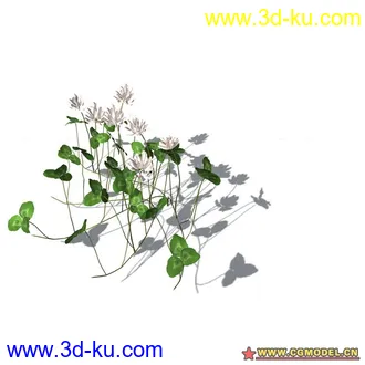 花草模型的图片