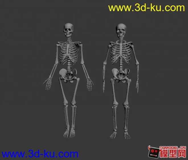 自己整理的人体基础模型下载，全部是max2010文件的图片1