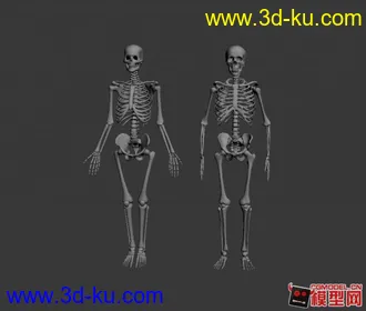 自己整理的人体基础模型下载，全部是max2010文件的图片