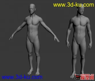 自己整理的人体基础模型下载，全部是max2010文件的图片