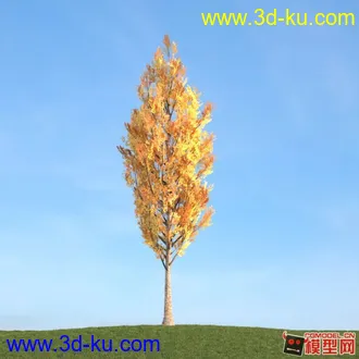收集的树木模型分享下的图片
