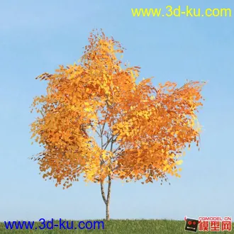 收集的树木模型分享下的图片