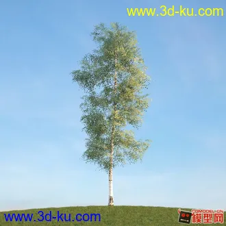 收集的树木模型分享下的图片