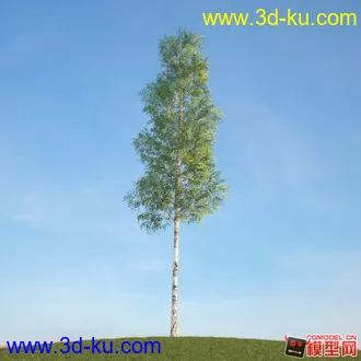 收集的树木模型分享下的图片