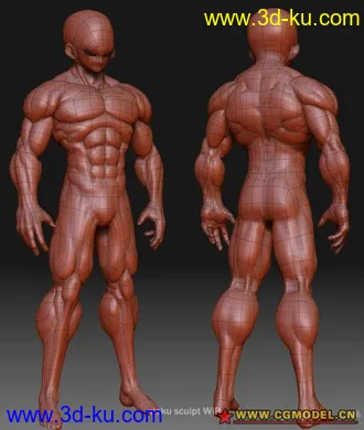 3D打印模型战马1的图片