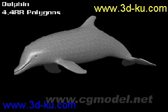 3D打印模型海豚的图片