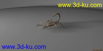 3D打印模型蝎子的图片