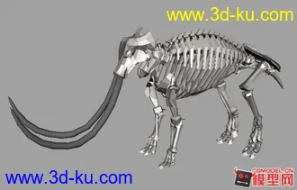 3D打印模型猛犸象的骨架的图片