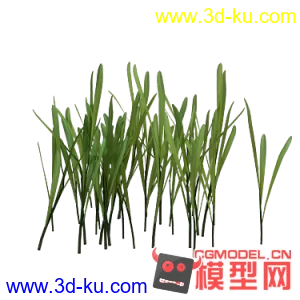 水草模型下载的图片