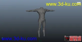 3D打印模型练习的人体，希望大家给宝贵意见的图片