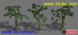 3DMAX 高精度松树（模型贴图下载）的图片