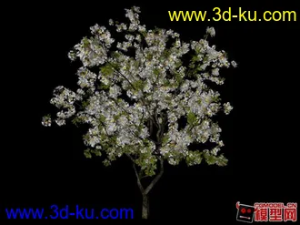 3D打印模型杏花－简的图片