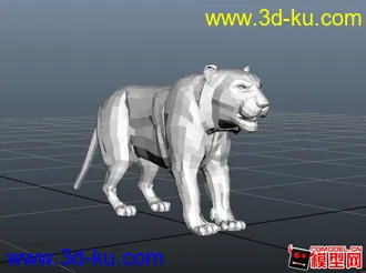 老虎模型的图片