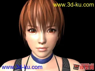 3D打印模型DOA5_Kasumi_Ninja_Pack的图片