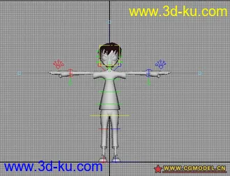经典骨骼  模型一般的图片