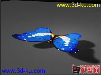 maya蝴蝶模型 含贴图绑定的图片
