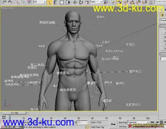 下网上花钱买的男人超精细模型带分解,4个包的图片