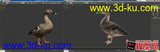 3D打印模型鸭子的图片
