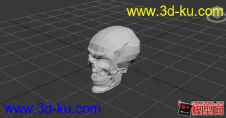 3D打印模型精细骷髅头的图片
