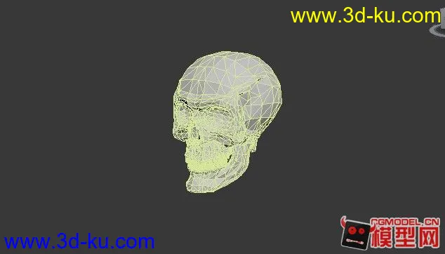 精细骷髅头模型的图片2