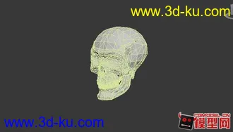 3D打印模型精细骷髅头的图片