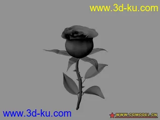 3D打印模型maya花的图片