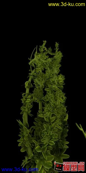 3D打印模型植物生长动画的图片