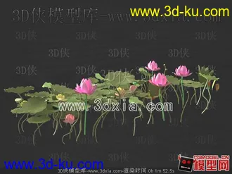 3D打印模型较好的荷叶水草的图片