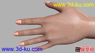 3D打印模型精细女人体的图片