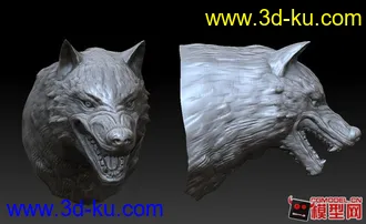 3D打印模型狼—高模的图片