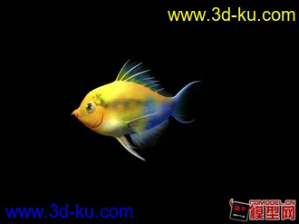 3D打印模型鹰嘴鱼的图片