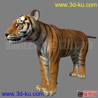 3D打印模型Tiger的图片