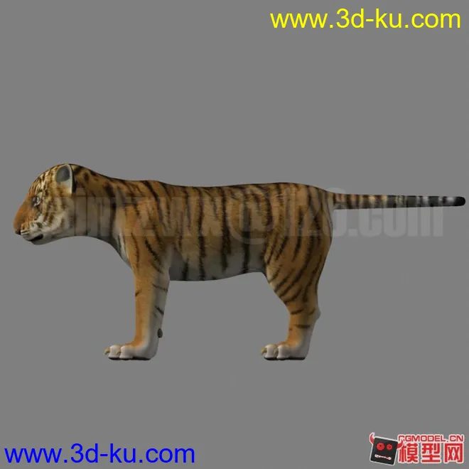 Tigerkin模型的图片1